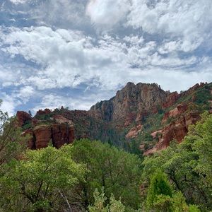 Meet your Posher, Nico